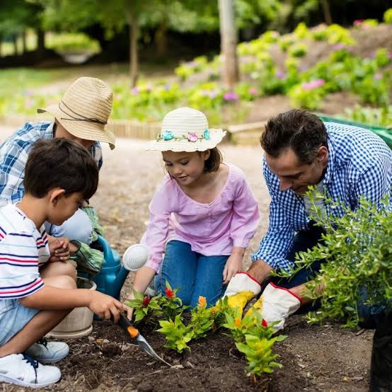 Gardening